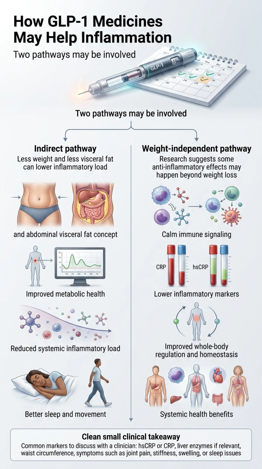 How GLP-1 medicines may help inflammation: indirect pathway through less visceral fat and weight loss, and weight-independent pathway through calming immune signaling and lowering inflammatory markers